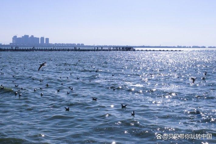 云南自由行最佳路线，六天五晚精华景点攻略-云南自驾游4天攻略