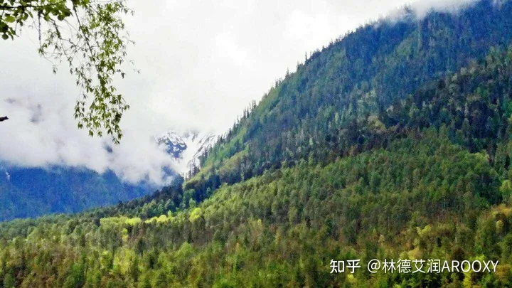 玉龙雪山简介-云南丽江玉龙雪山简介