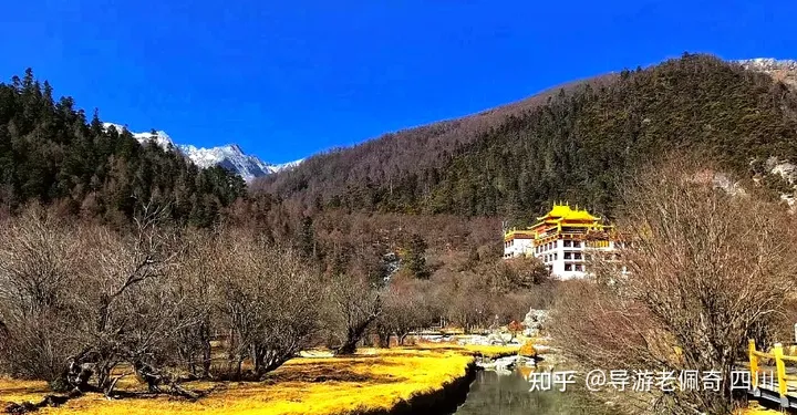 去稻城亚丁旅游有哪些避坑攻略分享？-去稻城亚丁的旅游路线有哪些