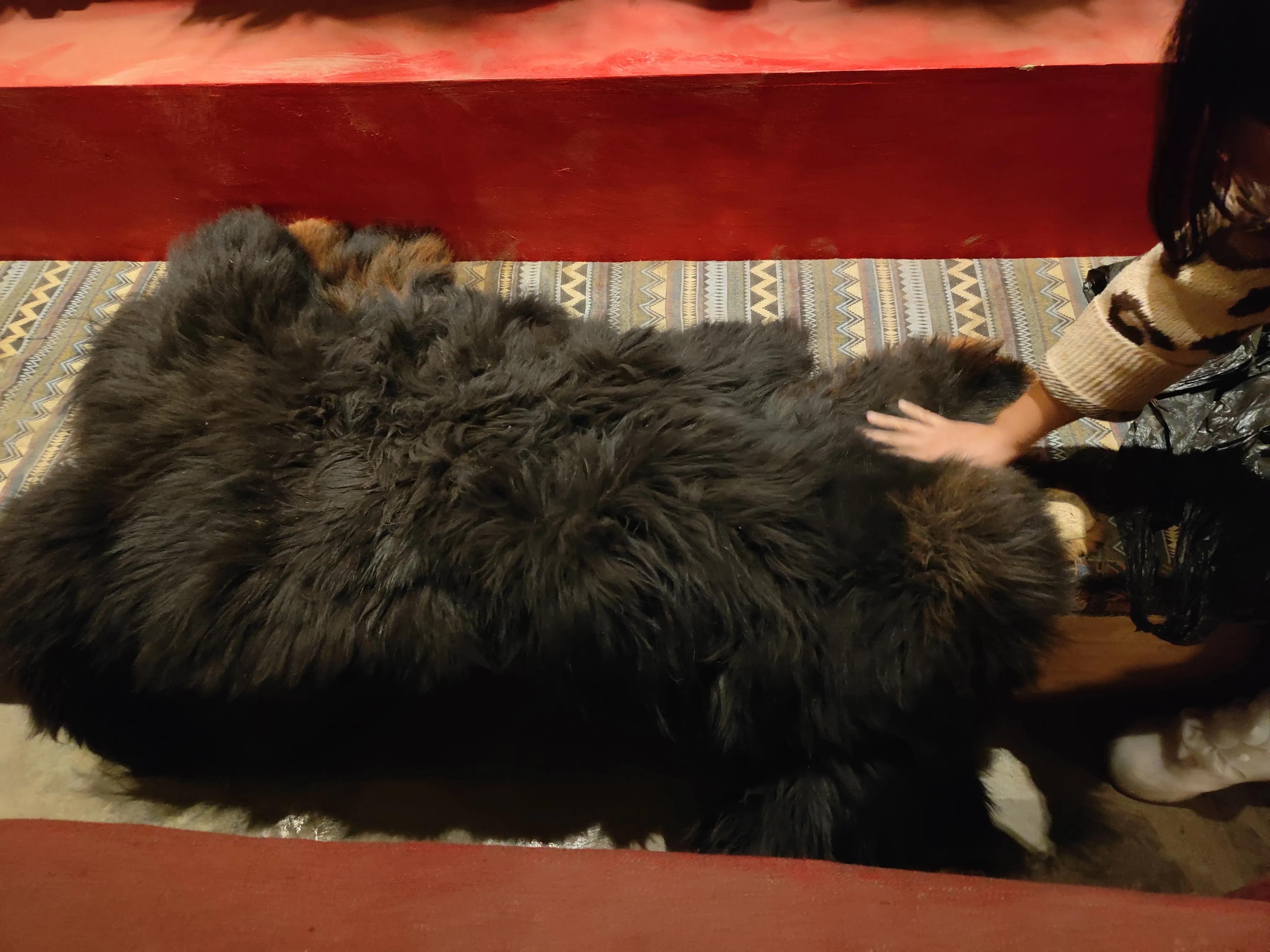 稻城亚丁自玩详细攻略（2000字）-稻城亚丁旅游线路攻略一日游