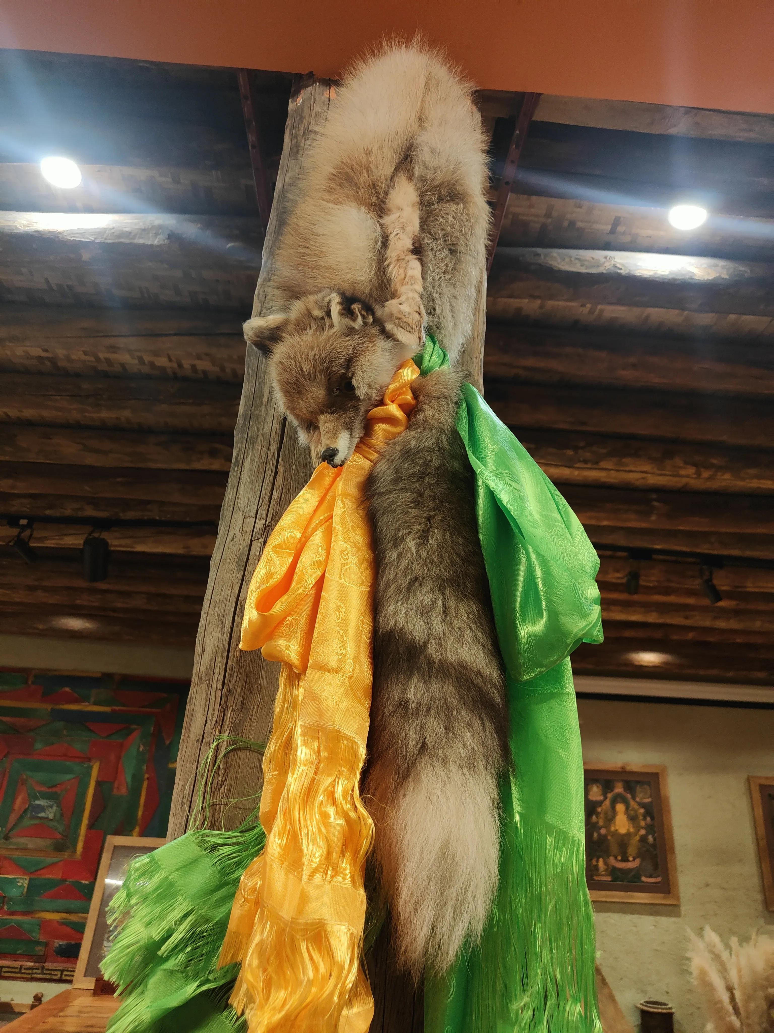 稻城亚丁自玩详细攻略（2000字）-稻城亚丁旅游线路攻略一日游