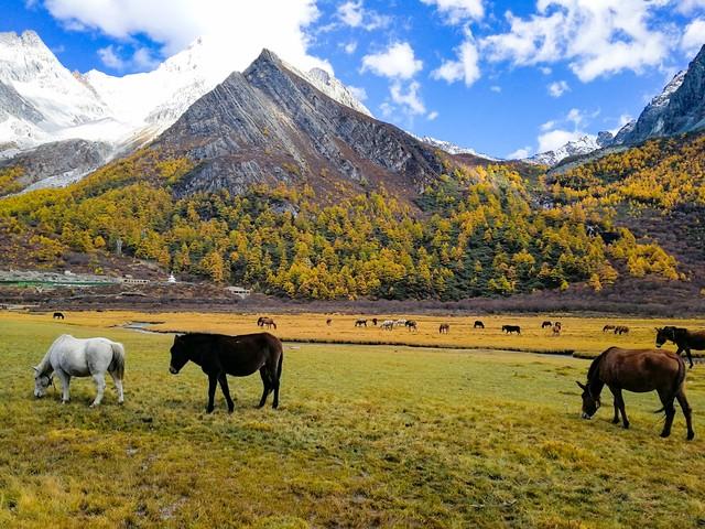 人间净土，稻城亚丁旅游攻略-稻城亚丁经典旅游路线