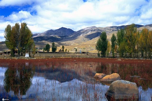 云游全国新5A｜四川省甘孜州稻城亚丁旅游景区-四川甘孜稻城亚丁山林风光