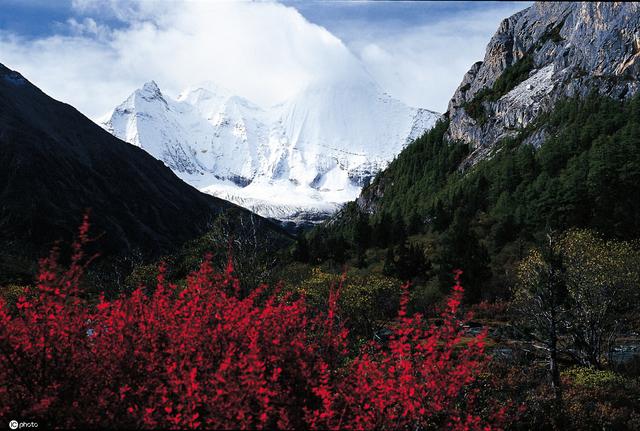 云游全国新5A｜四川省甘孜州稻城亚丁旅游景区-四川甘孜稻城亚丁山林风光