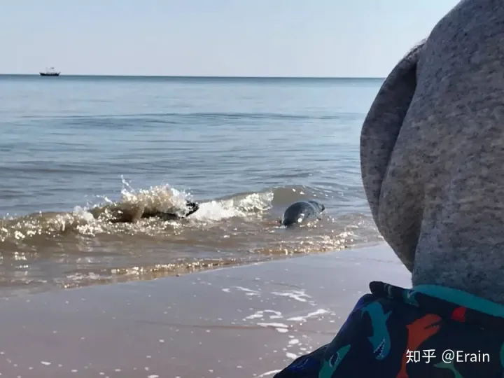 在北戴河阿那亚住是怎样的体验？-北戴河阿那亚门票多少钱