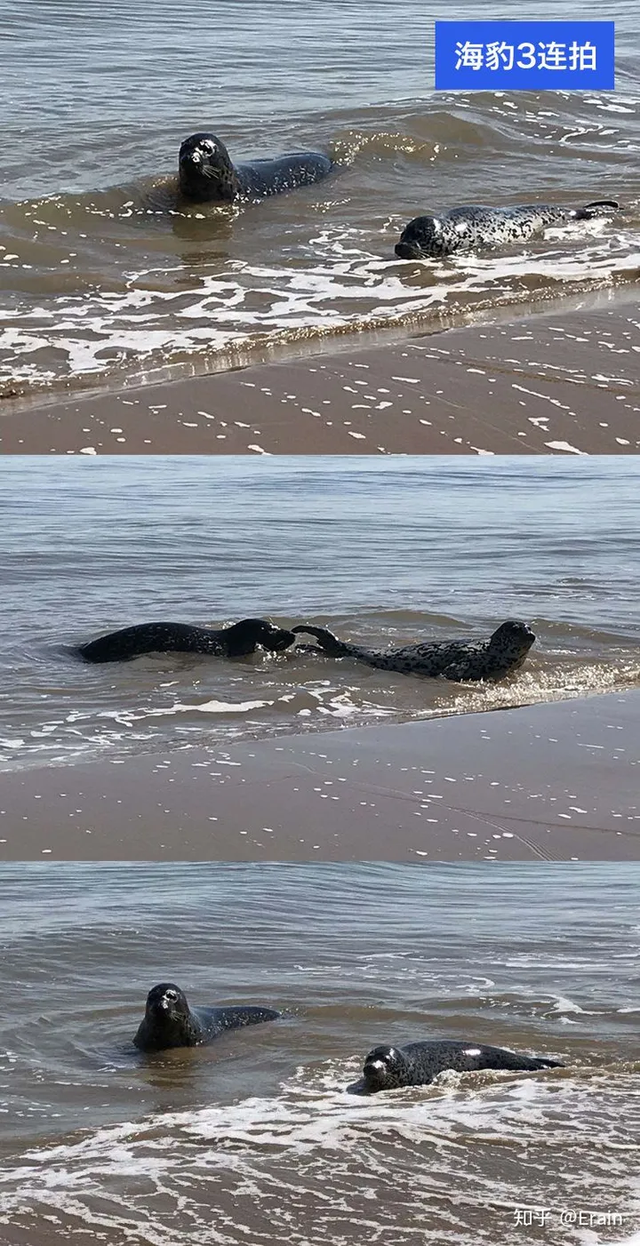 在北戴河阿那亚住是怎样的体验？-北戴河阿那亚门票多少钱
