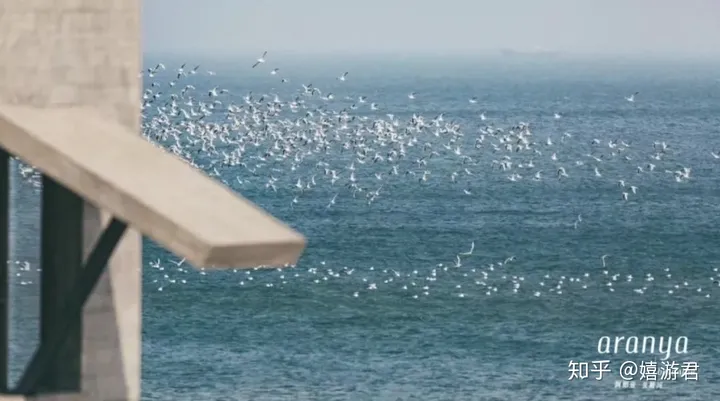 阿那亚有哪些值得游玩打卡的地方？-阿那亚有哪些值得游玩打卡的地方景点