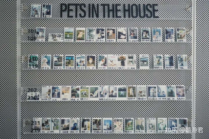 阿那亚，怎么住？-阿那亚住哪