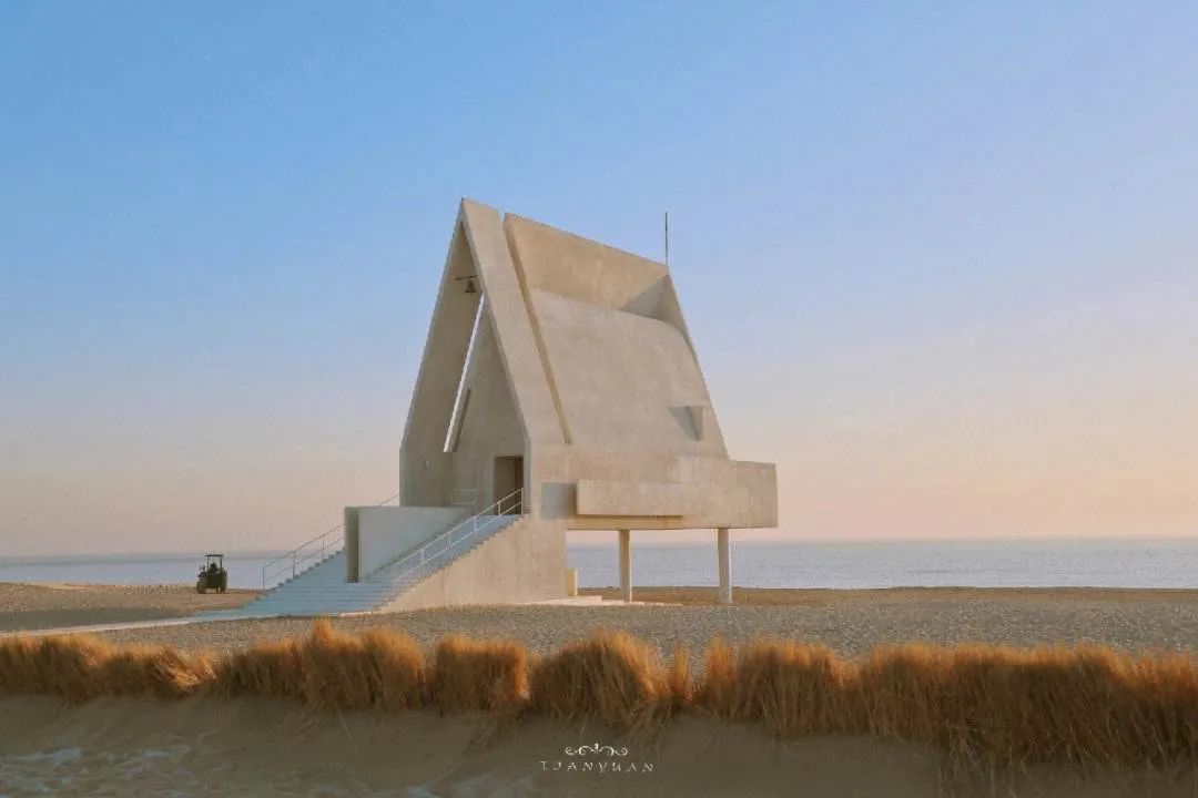 最近，阿那亚为什么被喷惨了？-阿那亚为什么那么火