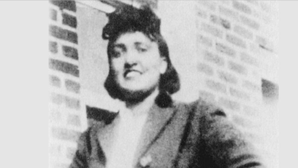 “永生”的海拉细胞，背后家族维权路迎来关键时刻-海拉细胞不死之谜