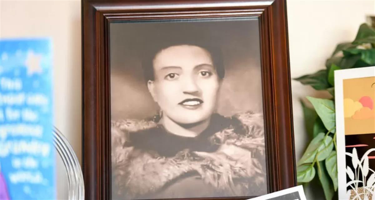 宫颈内的“永生”细胞被复制5000万吨卖到世界各地，患者却毫不知情，世卫组织总干事谭德塞发声-宫颈里是什么东西图片