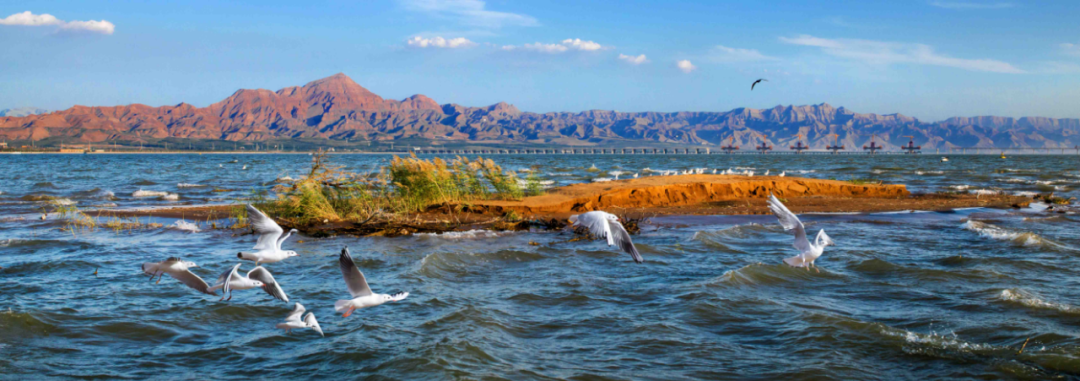 乌海旅游攻略｜第一次去乌海必去的几个景点你知道吗？-乌海有哪些旅游景点可以玩