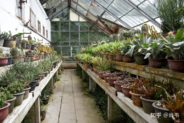 庐山旅游攻略202207-庐山旅游攻略三天游