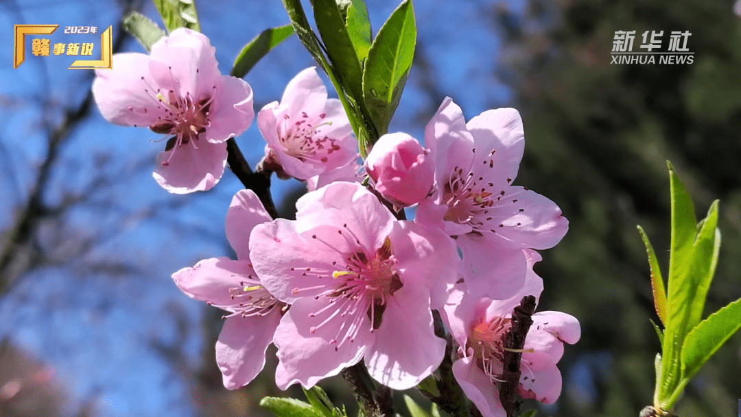 “庐山烟雨浙江潮”，带你认识庐山另一个面孔-庐山烟雨浙江潮的下一句