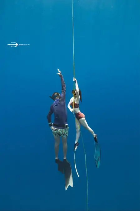 封面深镜丨看完《消失的她》潜水员不干了：有黑化潜水的因素-消失的结局游戏