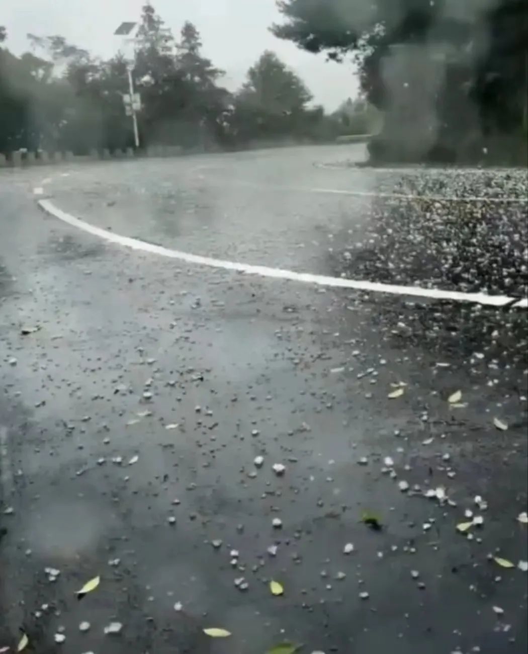 第9号台风“苏拉”即将生成？浙江最新天气消息-9号台风浙江有影响吗