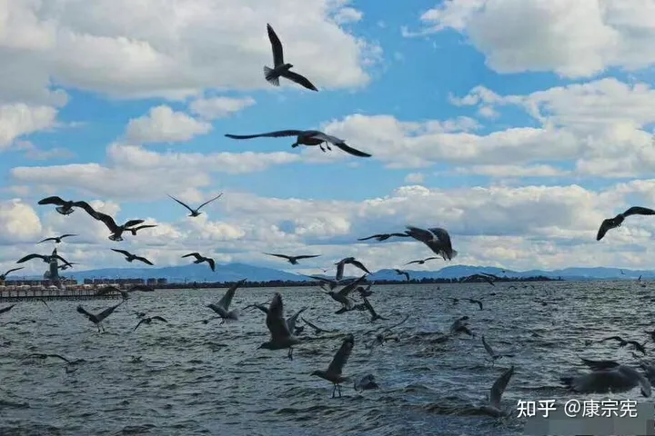 罗刹海市-罗刹海市 演员表