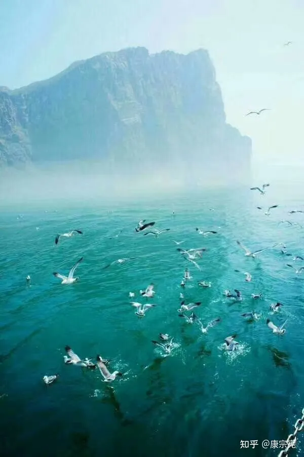 罗刹海市-罗刹海市 演员表