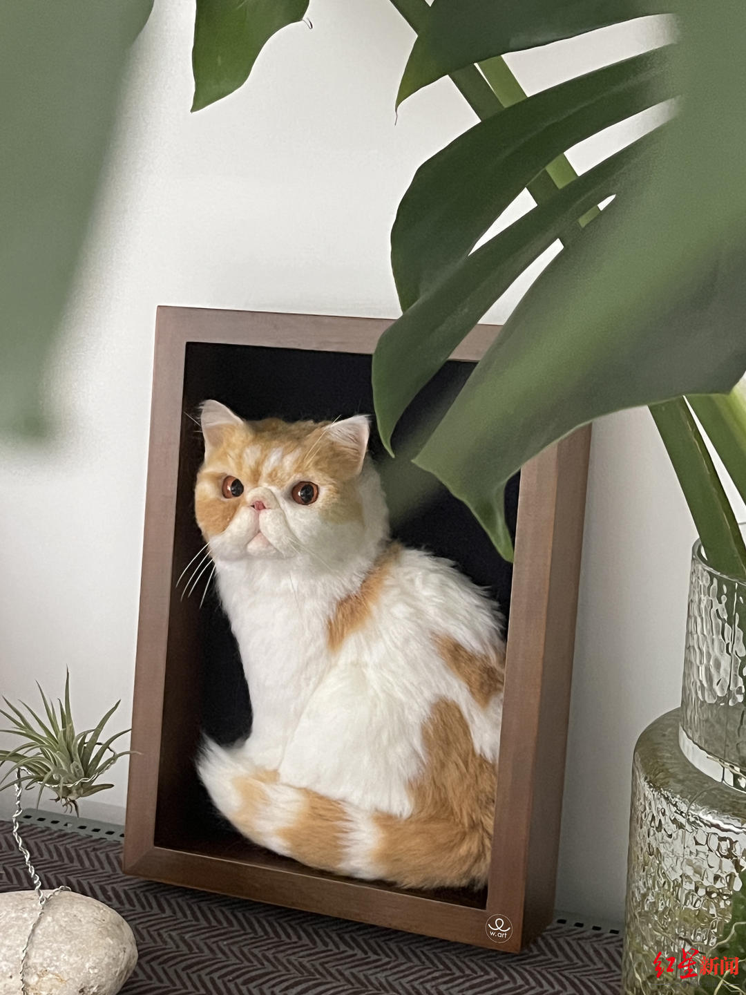 宠物经济新形态：用仿真毛毡、手绘“留住”爱宠，有从业者称订单已排到明年-宠物的毛可以做成什么东西