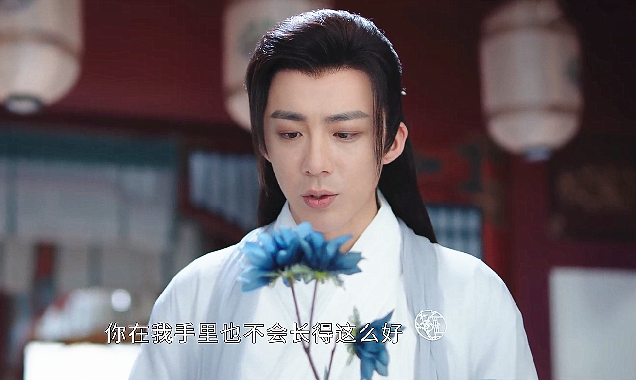 《安乐传》结局意难平：琳琅惨死，洛铭西孤独一生，帝梓元太气人-洛铭西 任安乐