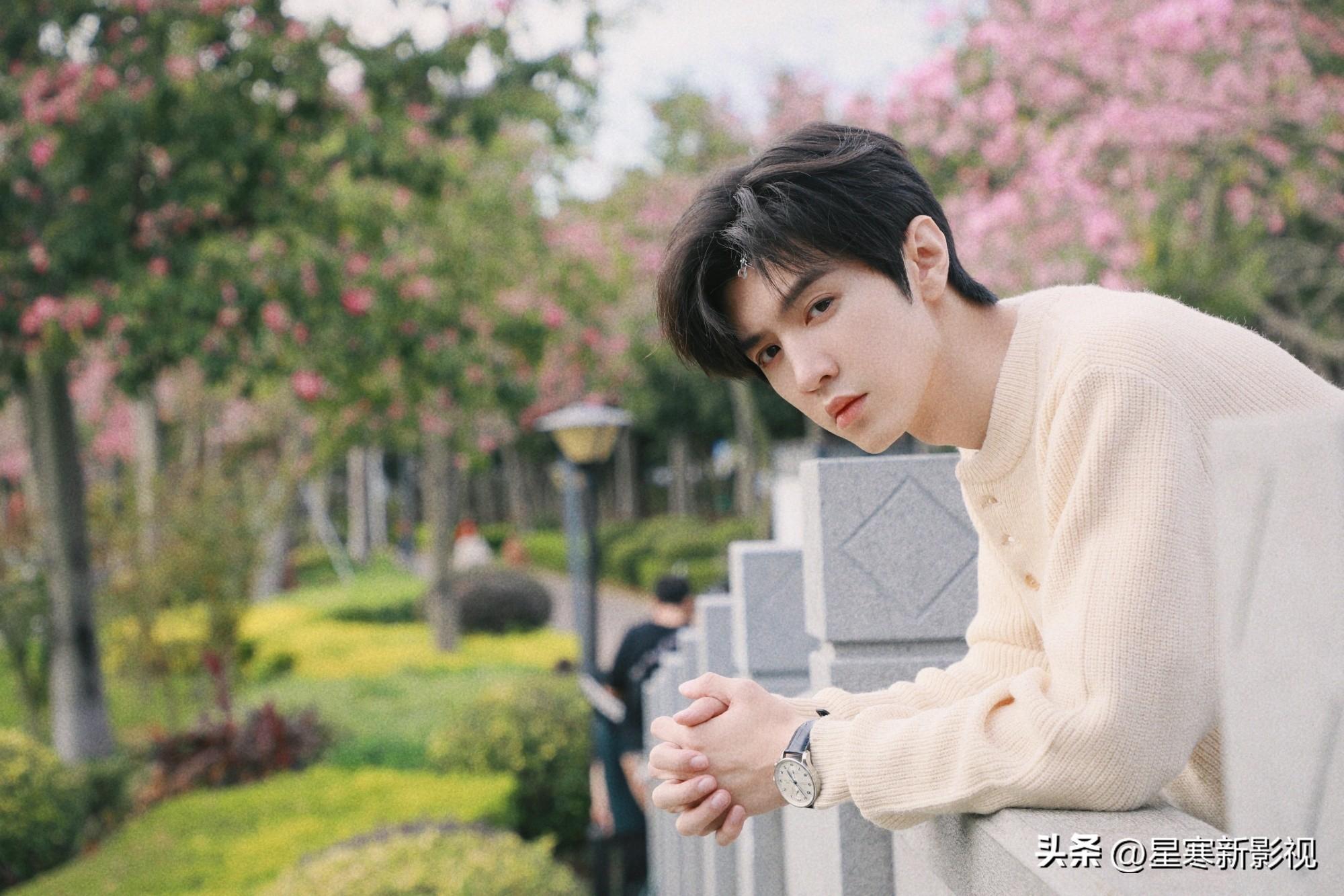 陈哲远《白色橄榄树》开拍在即，女主花落梁洁，看清编剧追定了！-白色橄榄树全文结局