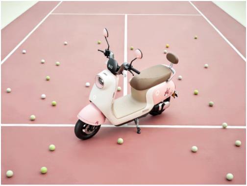 新日CiCi这款电动车界的“哈基米”，谁能不爱-新日h2电动车参数