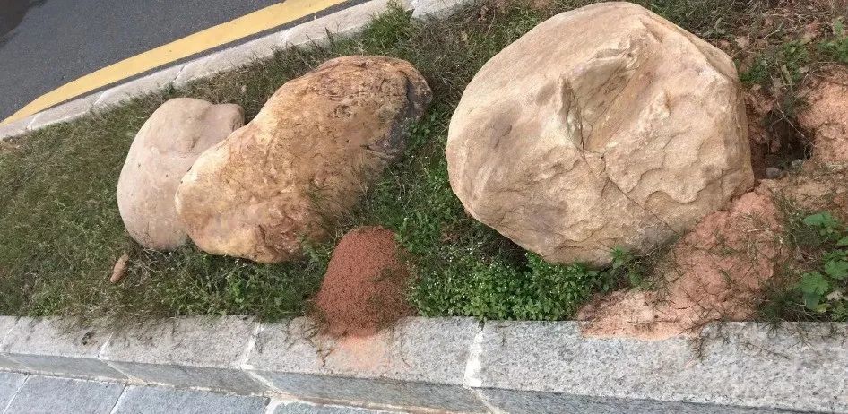 警惕！可致命！江西一地已出现-紧急寻人江西新冠接触者