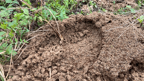 警惕！可致命！江西一地已出现-紧急寻人江西新冠接触者