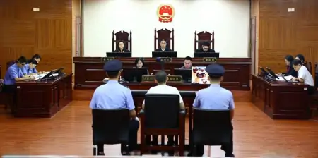 旁听者讲述吴谢宇案二审细节：他全程都在求生，听到母亲生前日记哭泣-吴谢宇庭审视频全过程