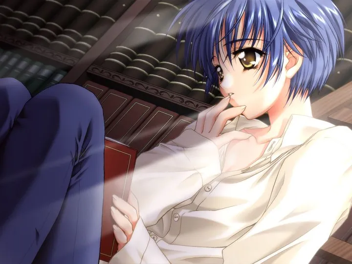 请帮忙理一下《无颜之月》、《桃华月惮》和《暗之帽子与书之旅人》之间人物的联系？-无颜之月说的是什yan