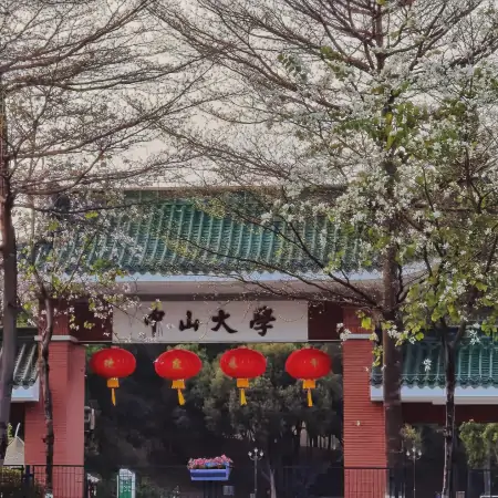 中山大学排名是多少？这项数据告诉你！-中山大学排名一览表