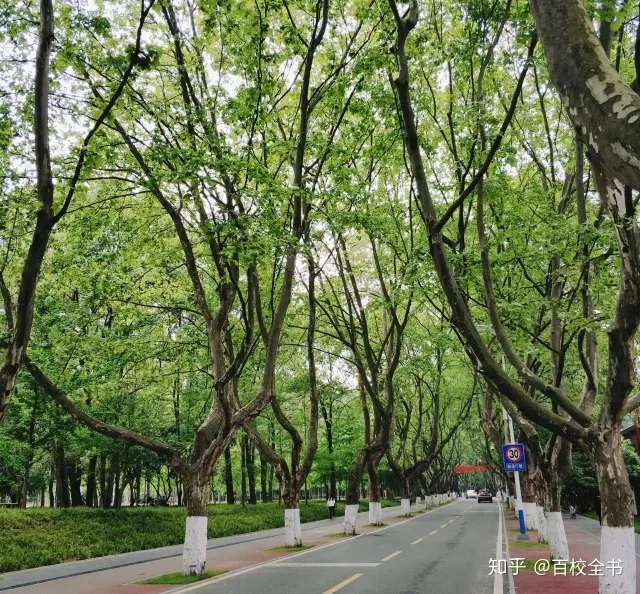 如何评价华中科技大学？-华中科技大学男朋友