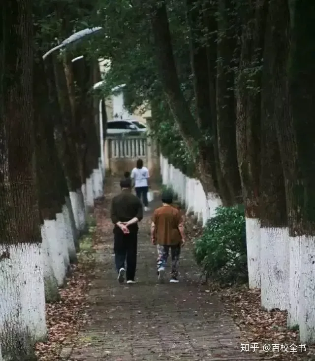 如何评价华中科技大学？-华中科技大学男朋友