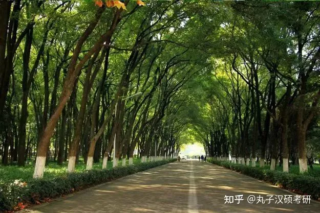 丸校话 | 985、211的华中科技大学，你心动了吗？-华中科技大学是否211录取