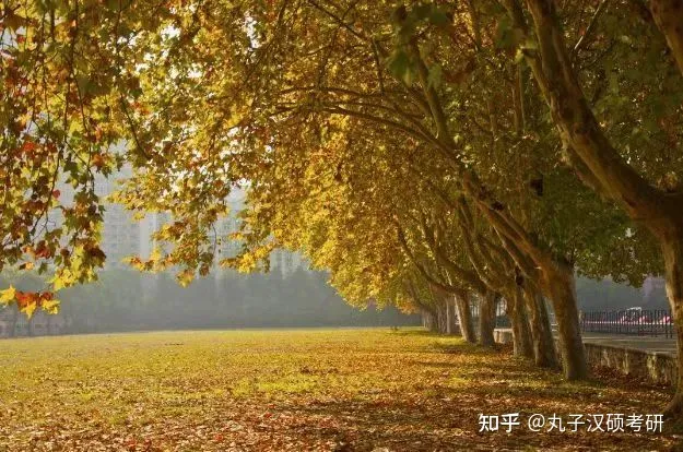 丸校话 | 985、211的华中科技大学，你心动了吗？-华中科技大学是否211录取