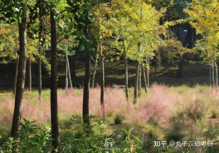 丸校话 | 985、211的华中科技大学，你心动了吗？-华中科技大学是否211录取