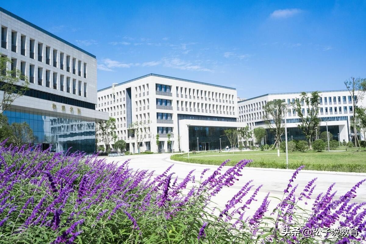 650分，选择华中科技大学，放弃电子科技大学的人，会不会后悔？-华中科技大学电子科学与技术专业怎么样