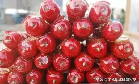 冰糖葫芦夏天能做吗？你不知道的四大优势，这些你想象不到！-冰糖葫芦只能冬天做吗