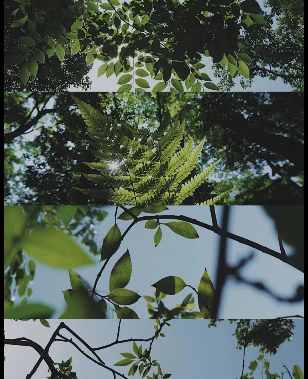 6天5夜深度贵州自由行，吐血整理攻略-贵州自由行最佳路线攻略