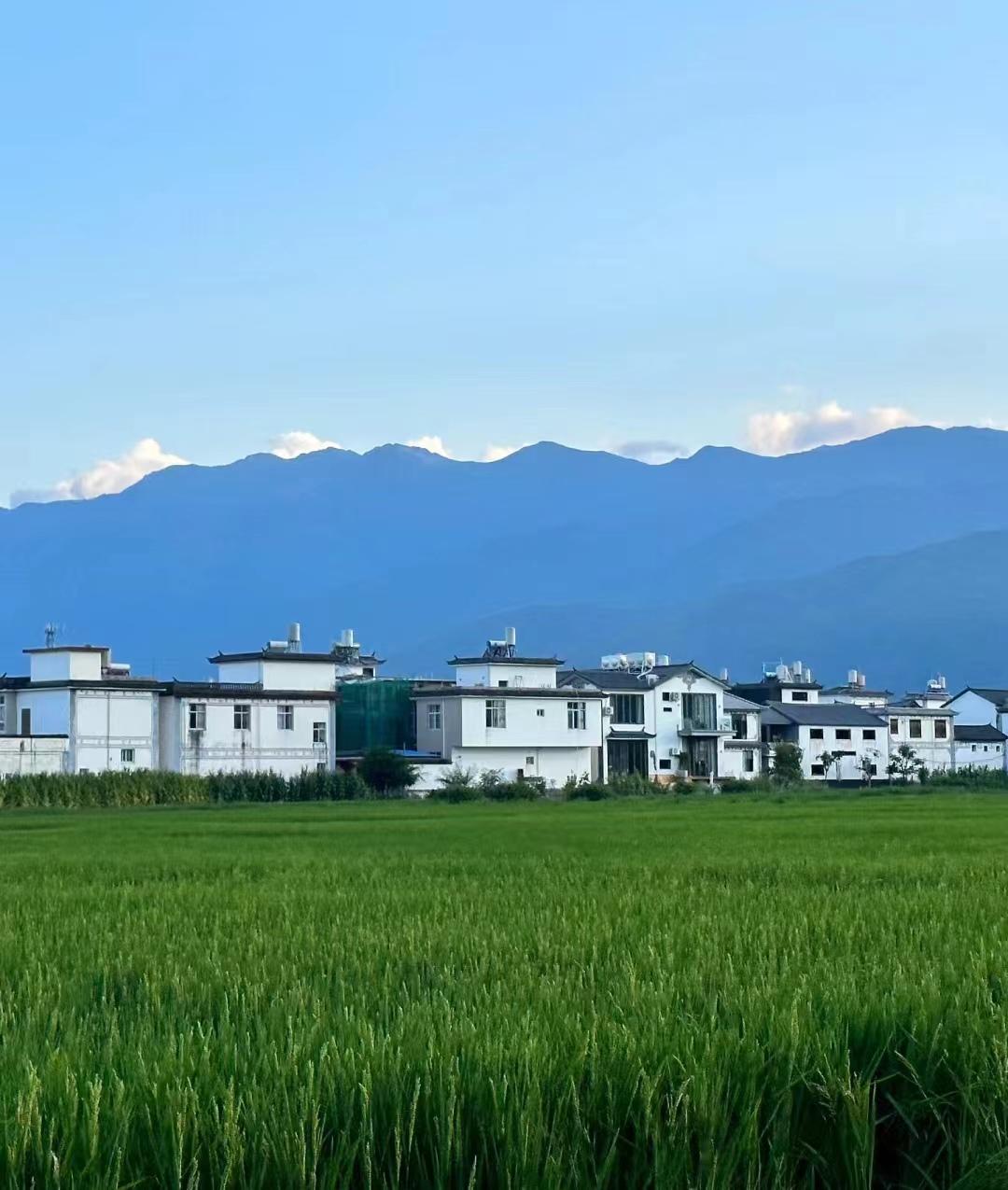 带爸妈10天9晚云南自由行攻略，0踩雷-云南旅游攻略自由路线推荐