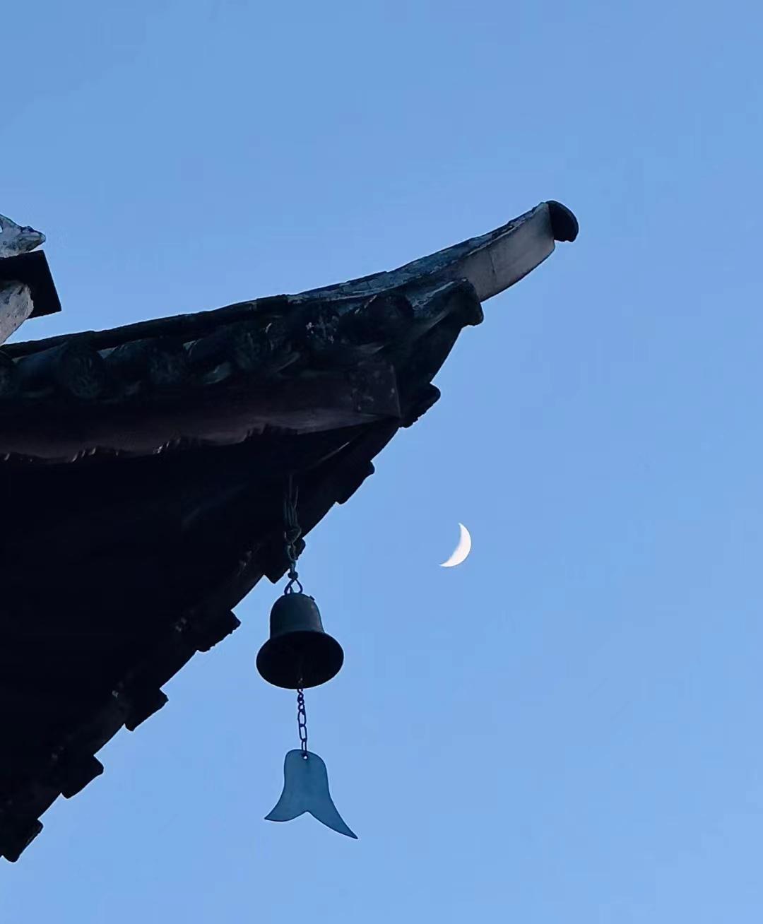 带爸妈10天9晚云南自由行攻略，0踩雷-云南旅游攻略自由路线推荐