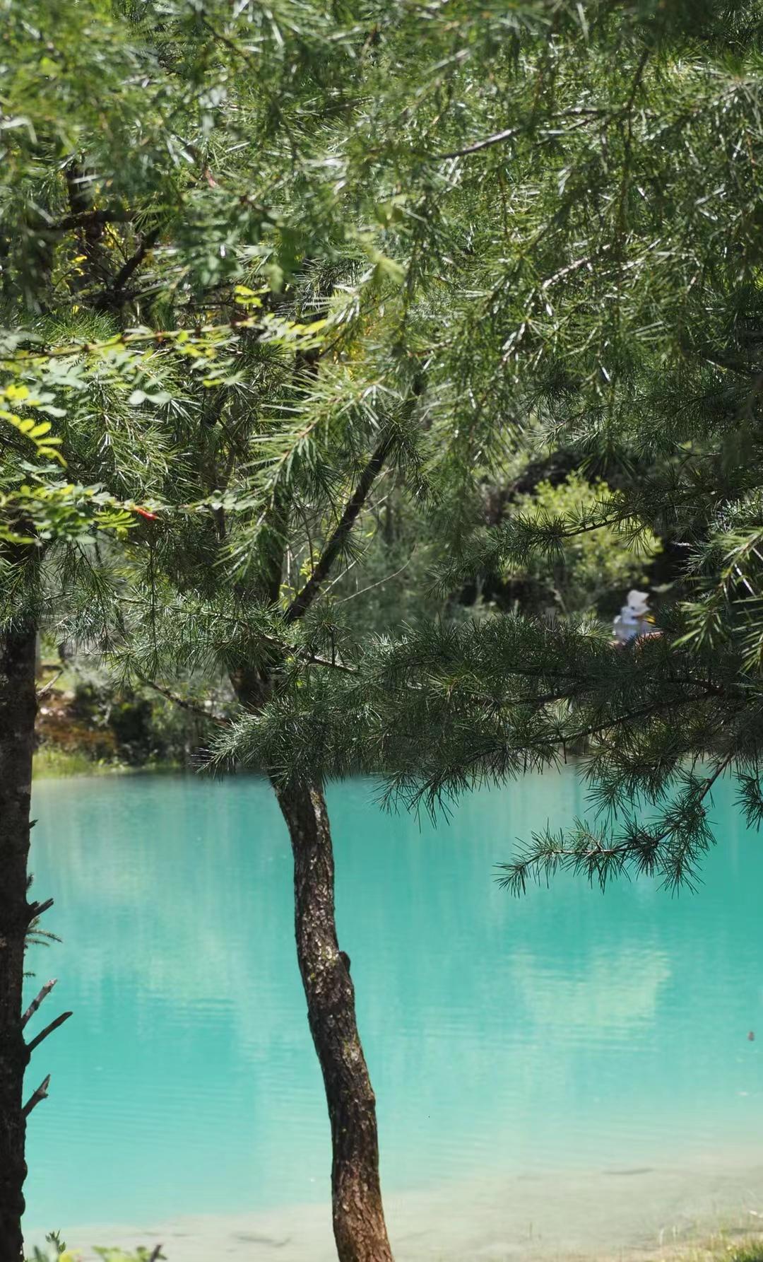 带爸妈10天9晚云南自由行攻略，0踩雷-云南旅游攻略自由路线推荐