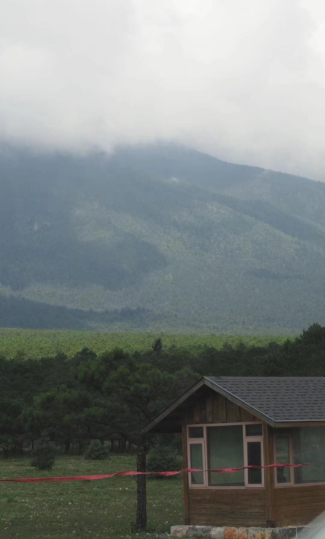 带爸妈10天9晚云南自由行攻略，0踩雷-云南旅游攻略自由路线推荐