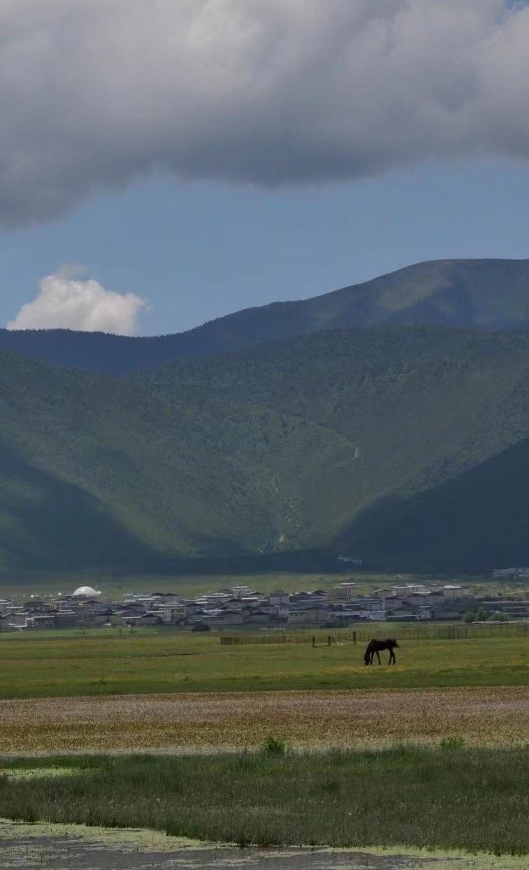 带爸妈10天9晚云南自由行攻略，0踩雷-云南旅游攻略自由路线推荐