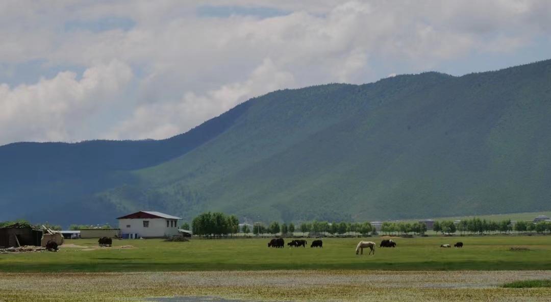 带爸妈10天9晚云南自由行攻略，0踩雷-云南旅游攻略自由路线推荐