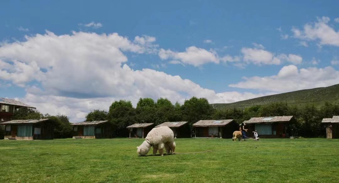 带爸妈10天9晚云南自由行攻略，0踩雷-云南旅游攻略自由路线推荐