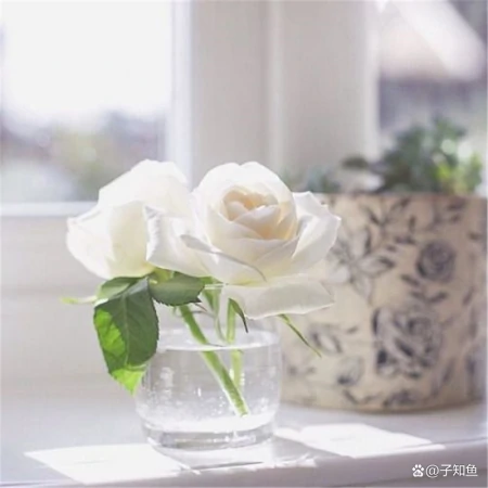 摩羯座的本质，成就了ta的传奇-摩羯座的本质,成就了ta的传奇人生