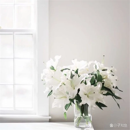 摩羯座的本质，成就了ta的传奇-摩羯座的本质,成就了ta的传奇人生