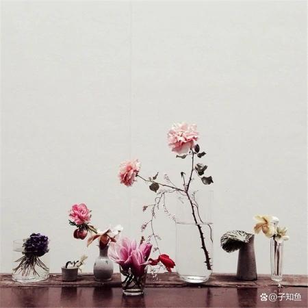 摩羯座的本质，成就了ta的传奇-摩羯座的本质,成就了ta的传奇人生