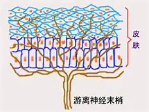 男生挠男生脚心是一种怎样的体验？-男孩挠男孩脚心视频大全